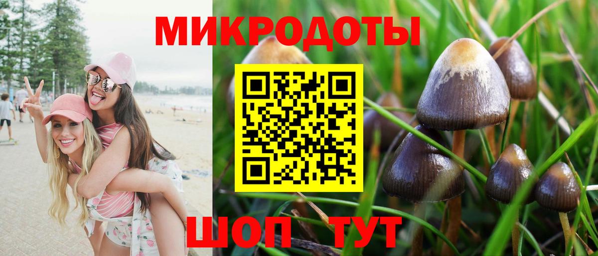 Псилоцибиновые грибы GOLDEN TEACHER  Вход с VPN  купить  цена  Южноуральск 