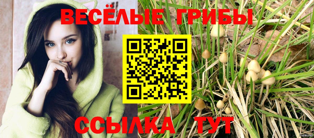 Псилоцибиновые грибы GOLDEN TEACHER Южноуральск